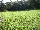 Peachester QLD 4519