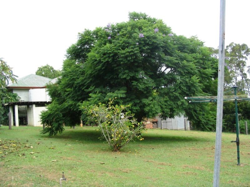 Glass House Mountains QLD 4518