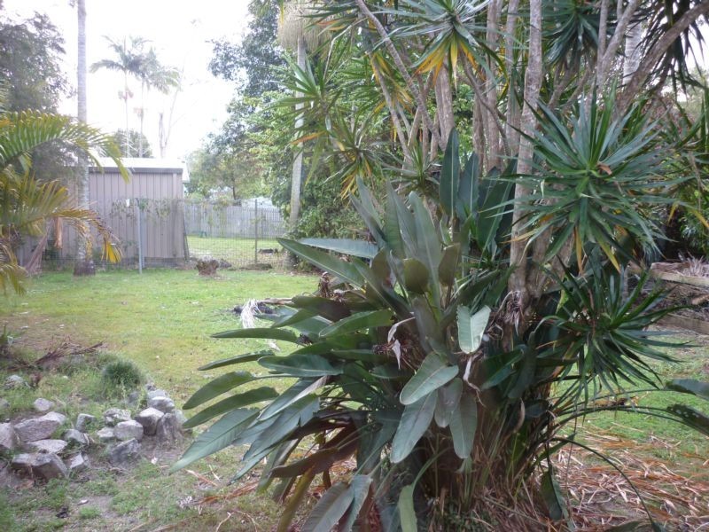 17 North Street, Beerwah QLD 4519