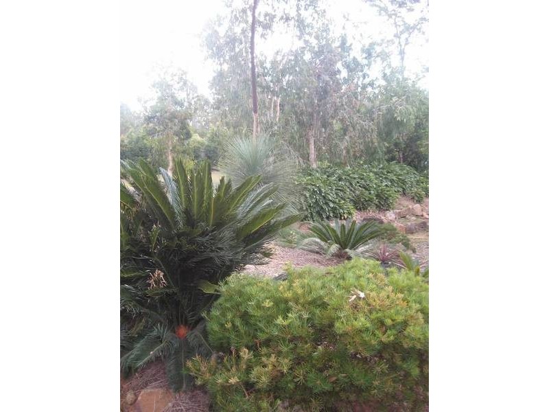 Glass House Mountains QLD 4518