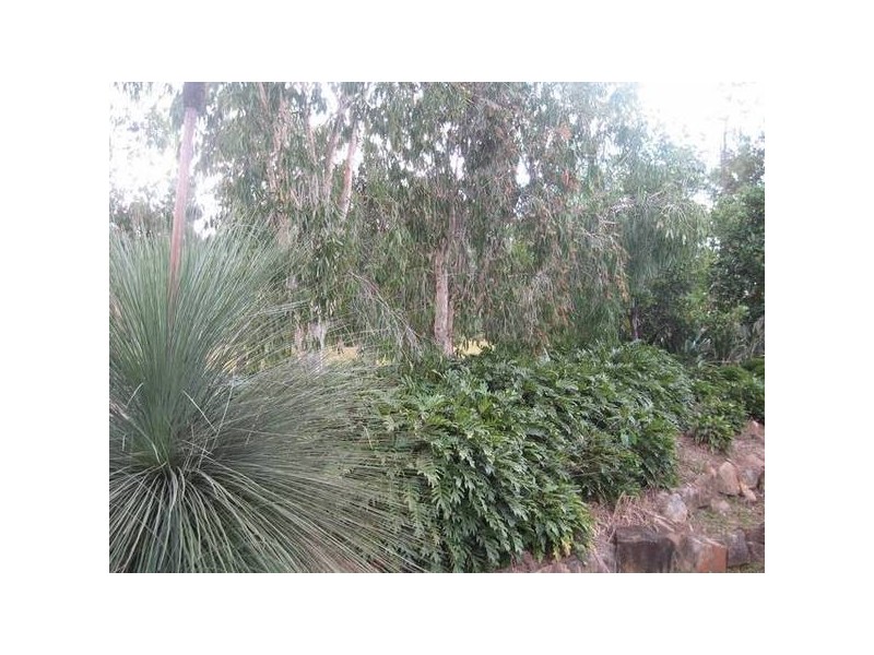 Glass House Mountains QLD 4518