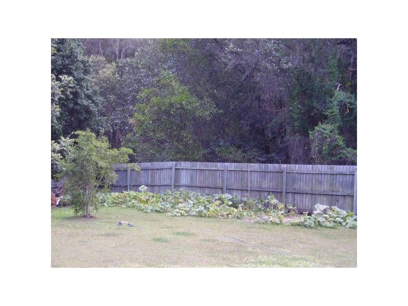 Glass House Mountains QLD 4518