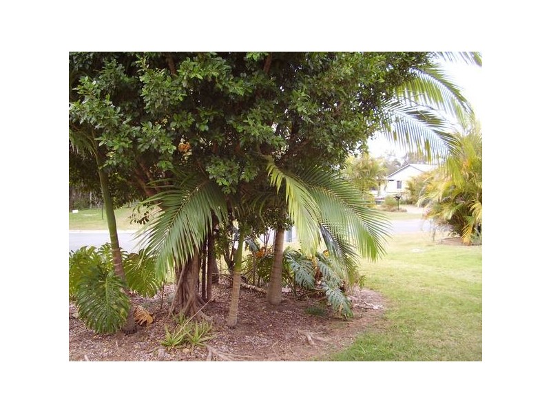 Glass House Mountains QLD 4518