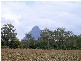 Beerwah QLD 4519