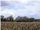Beerwah QLD 4519