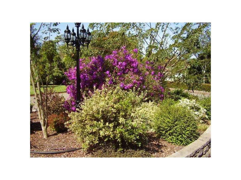 Glass House Mountains QLD 4518