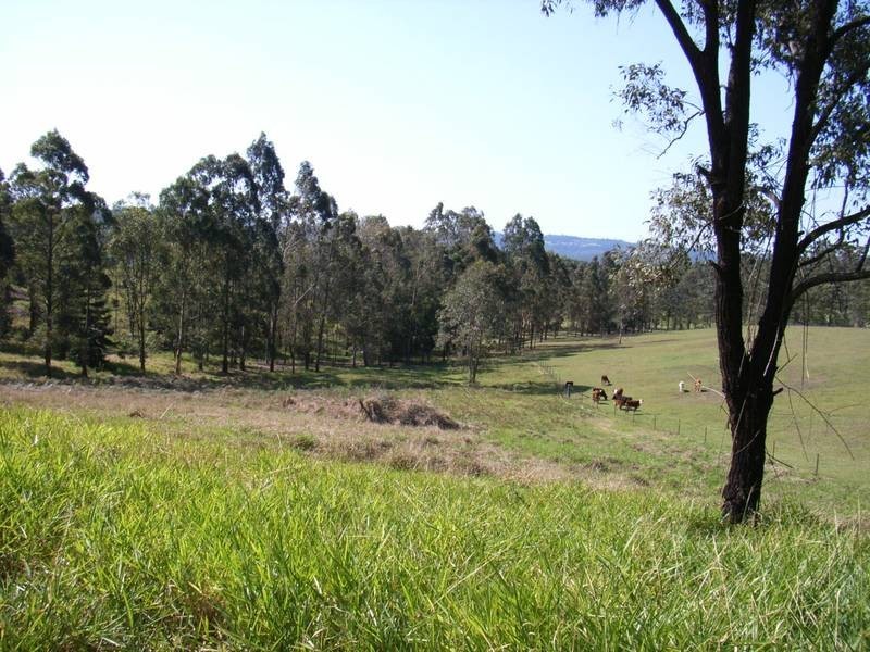 Peachester QLD 4519