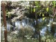 Peachester QLD 4519