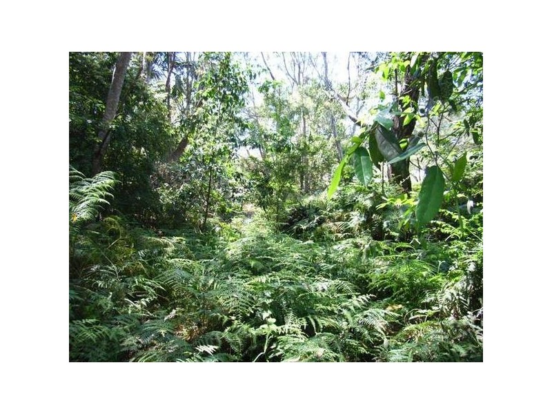 Peachester QLD 4519