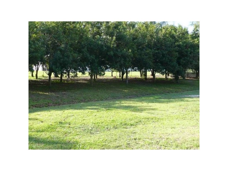 Glass House Mountains QLD 4518