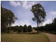 Beerwah QLD 4519