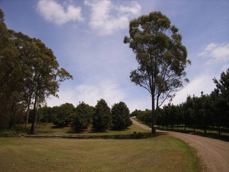Beerwah QLD 4519