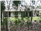 Glass House Mountains QLD 4518
