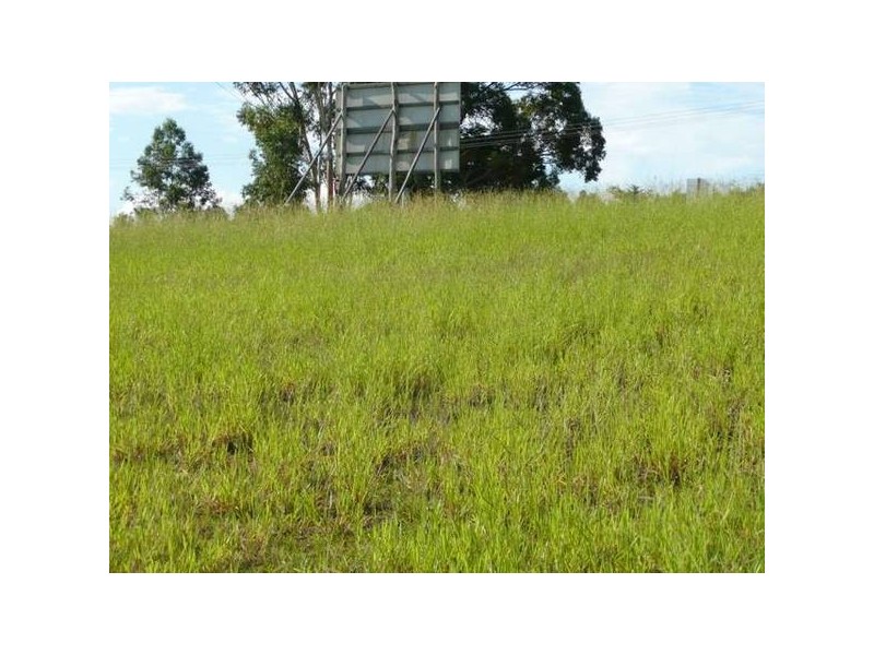 Glass House Mountains QLD 4518