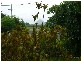 Glass House Mountains QLD 4518