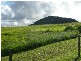 Glass House Mountains QLD 4518
