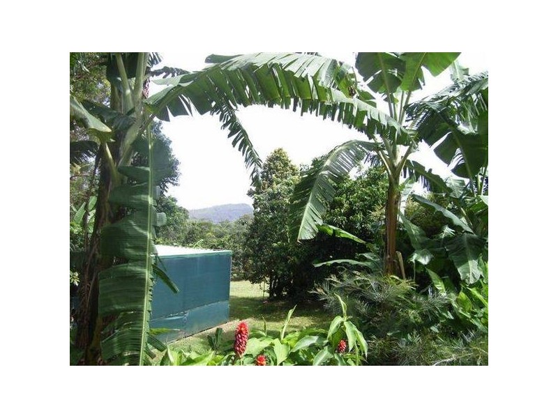 Beerwah QLD 4519