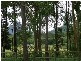 Glass House Mountains QLD 4518
