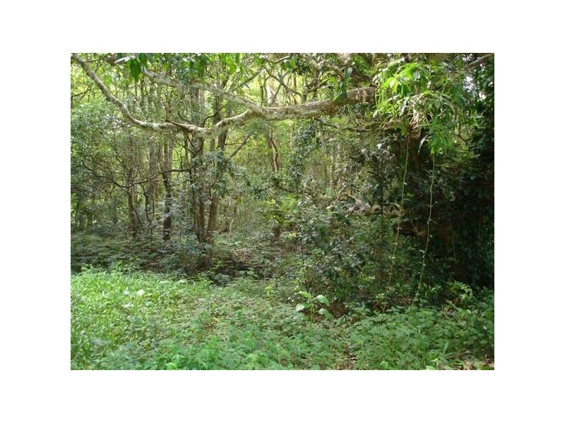 Landsborough QLD 4550