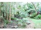 Glass House Mountains QLD 4518