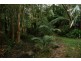 Glass House Mountains QLD 4518