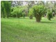 Glass House Mountains QLD 4518