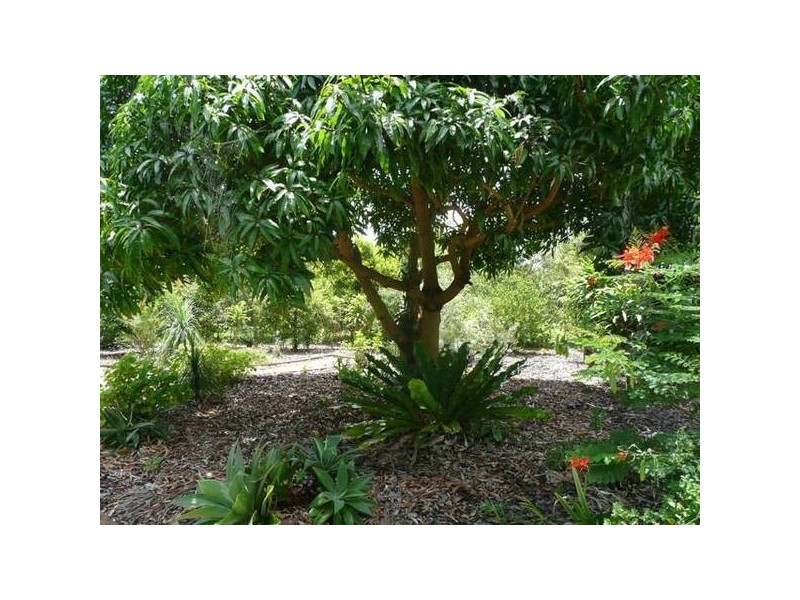 Glass House Mountains QLD 4518