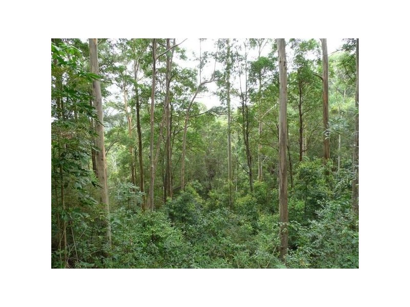 Mount Mellum QLD 4550