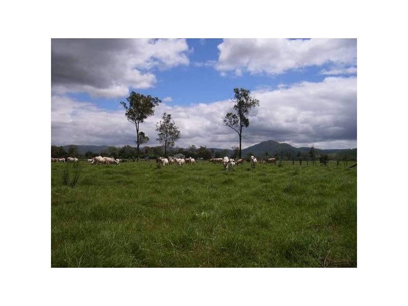 Commissioners Flat QLD 4514