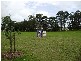 Beerwah QLD 4519