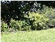 Glass House Mountains QLD 4518