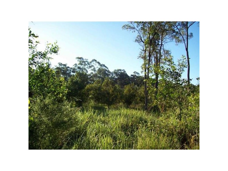 Glass House Mountains QLD 4518