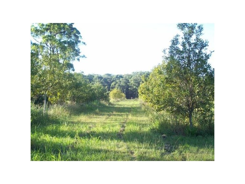 Glass House Mountains QLD 4518