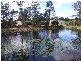 Beerwah QLD 4519
