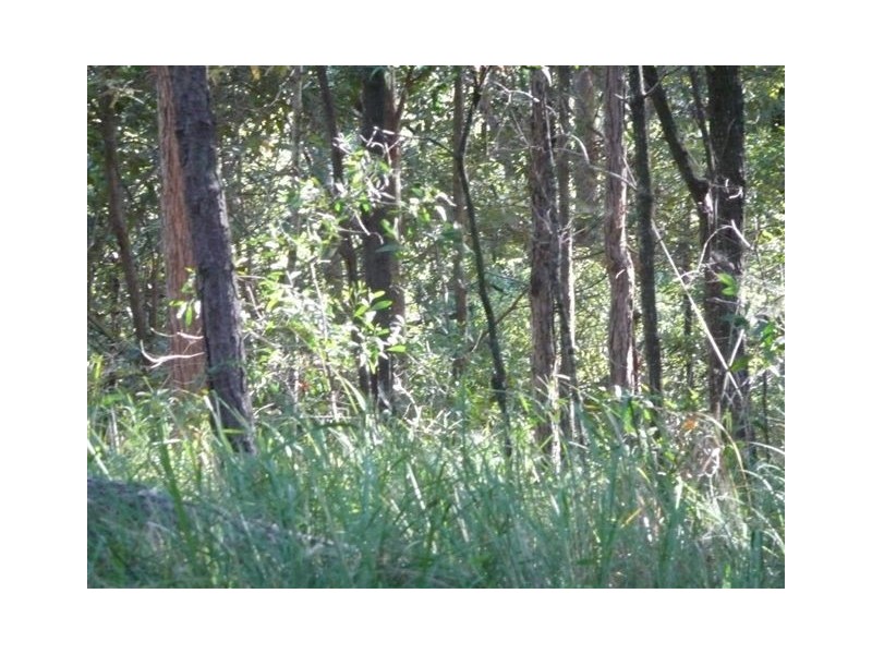 Peachester QLD 4519