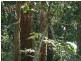 Peachester QLD 4519