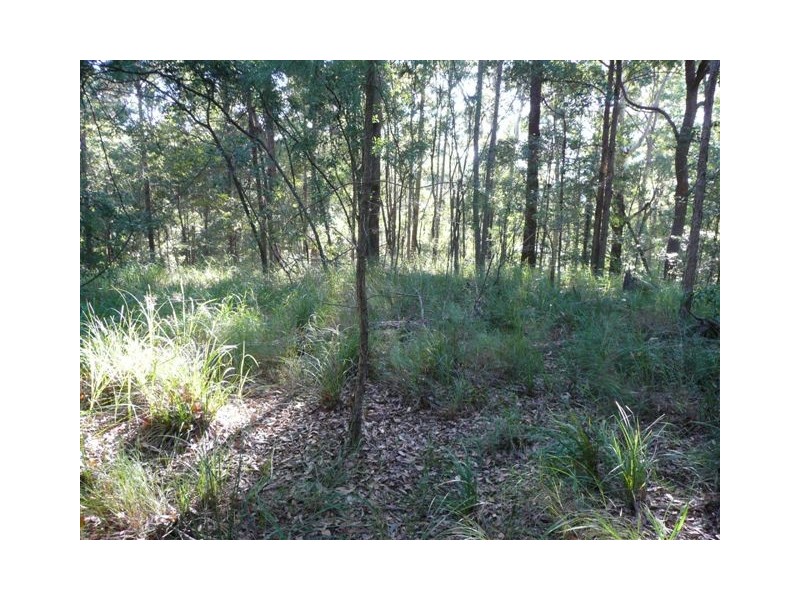 Peachester QLD 4519