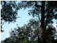 Peachester QLD 4519