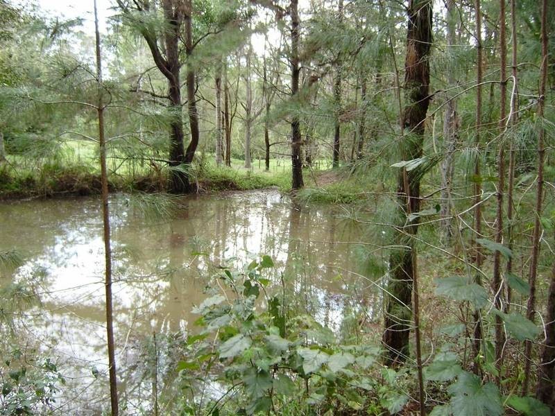 Peachester QLD 4519