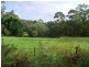 Peachester QLD 4519
