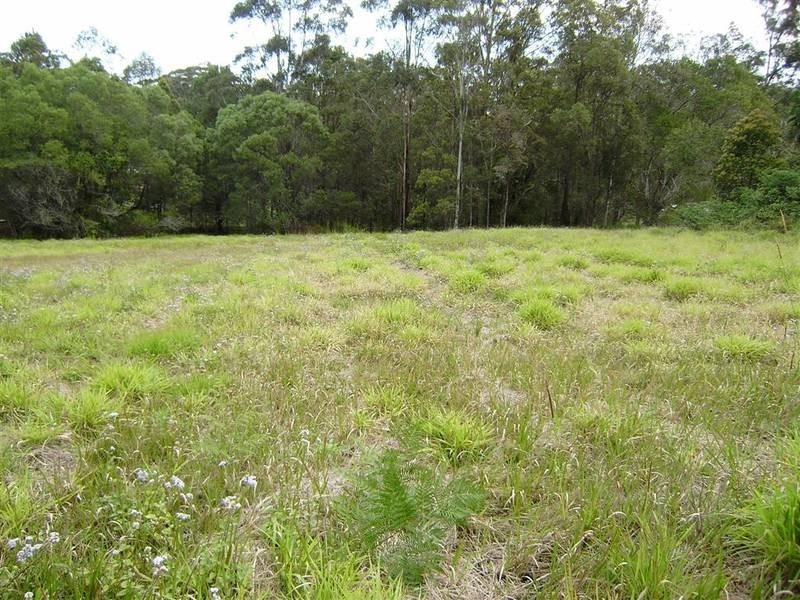 Peachester QLD 4519