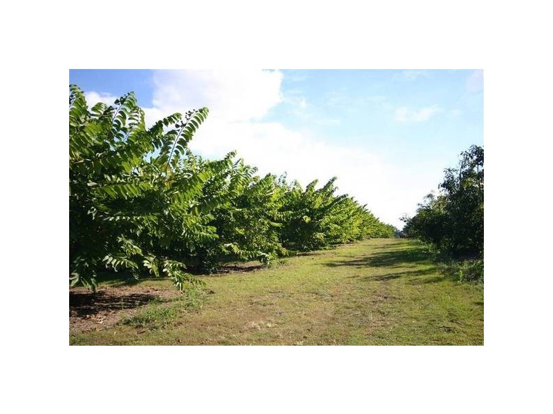 Glass House Mountains QLD 4518