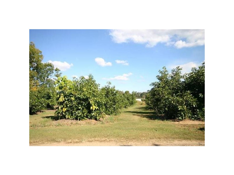 Glass House Mountains QLD 4518