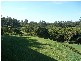 Landsborough QLD 4550
