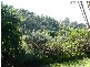 Landsborough QLD 4550