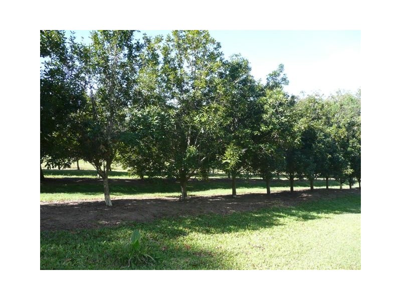 Glass House Mountains QLD 4518