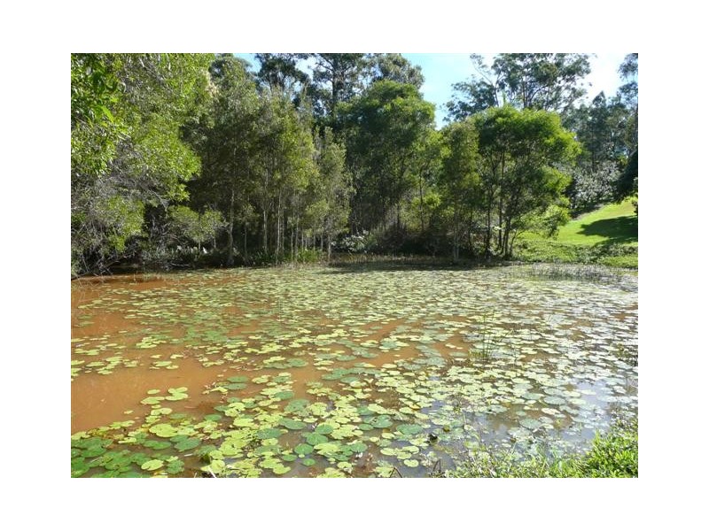 Glass House Mountains QLD 4518
