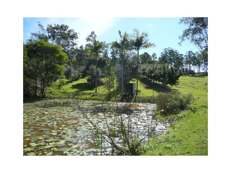 Glass House Mountains QLD 4518