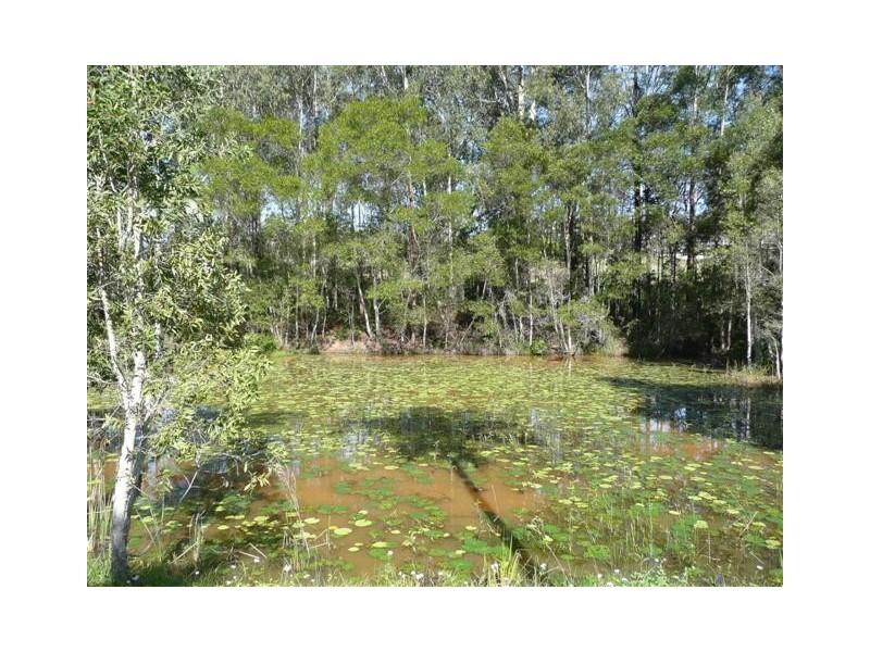 Glass House Mountains QLD 4518