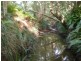 Beerwah QLD 4519
